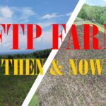 Join us on a journey through the FTP Farm: Then and Now!