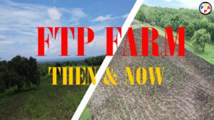 Read more about the article Join us on a journey through the FTP Farm: Then and Now!